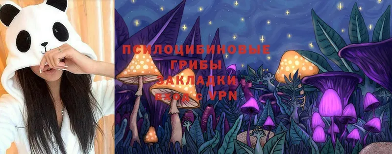 Псилоцибиновые грибы Magic Shrooms  Шелехов 